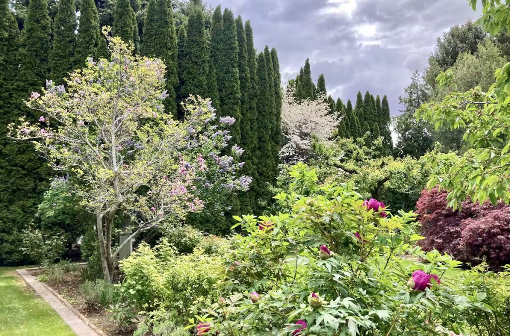 5f59c5d0-71ff-4557-9599-337947523532.jpeg-2 3